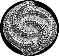 Lisa-Jarvis Lisa-Jarvis Coil Knob - Hentell