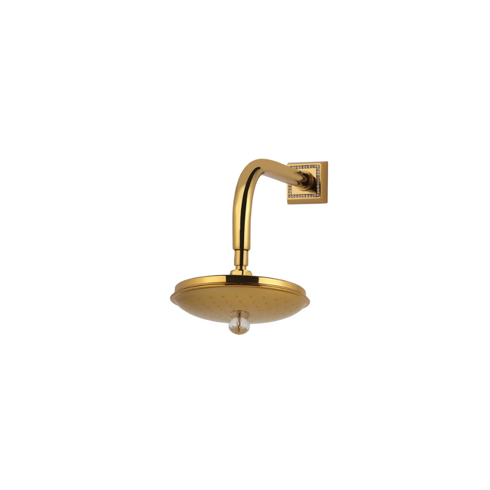 Vista D'oro Azom Shower Head - Hentell